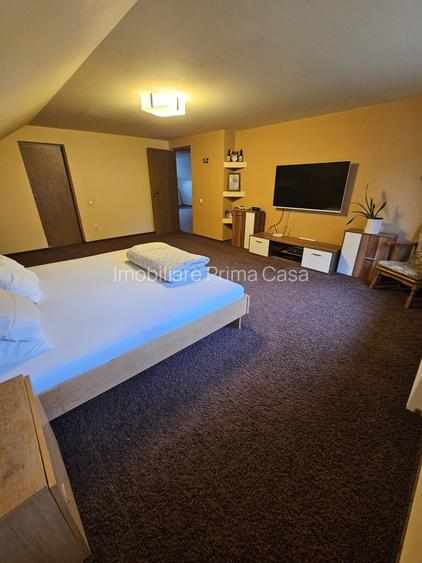 🏡 PROPRIETATE DE EXCEPȚIE – ZONĂ ULTRACENTRALĂ, BAIA MARE - 9