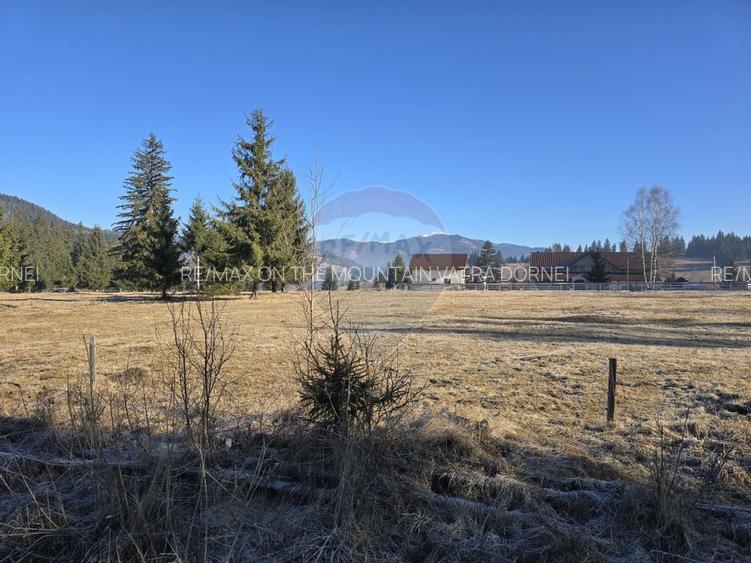 Teren 3,266mp Dorna-Arini / Drumul ORTOAIA - PODIREI - 6