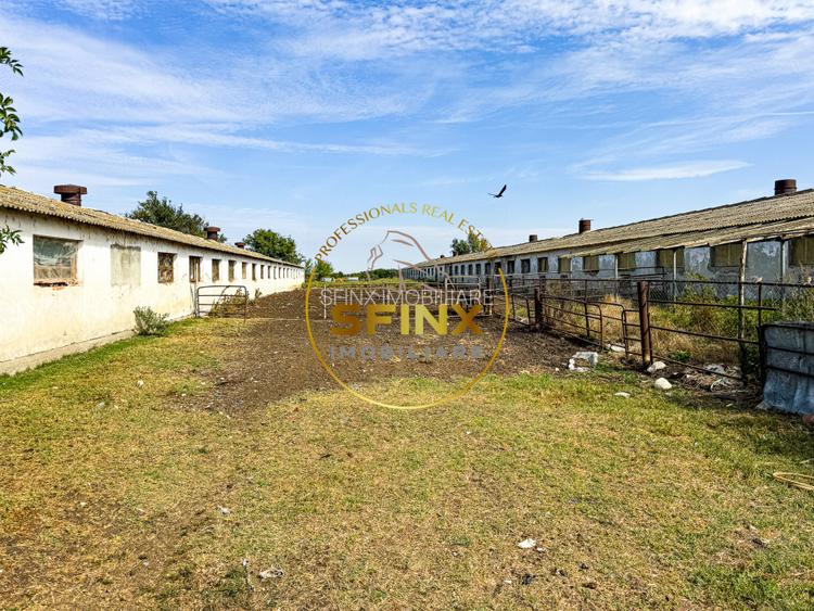 Teren intravilan 62000mp - ferma - logistica - depozitare - 6