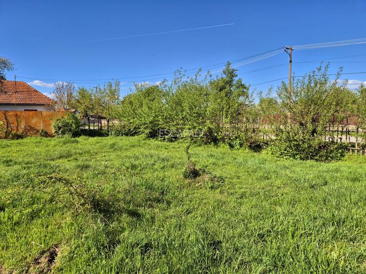 Comision 0 %/ Teren intravilan Sercaita 2247 mp - 8