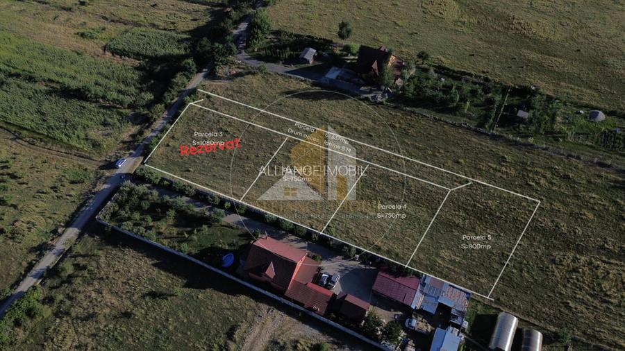 Teren de Vanzare Aleea Trifoiului - O Investitie in Viitorul Tau. - 2