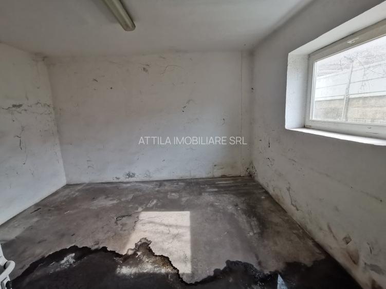 Iosefin Depozit 175 mp 875 euro +TVA - 3