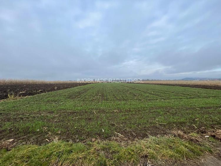 TEREN EXTRAVILAN 13 ARI | FRONT STRADAL 13 M | MARGINEA - 2