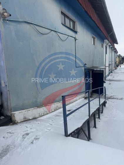 Hala zona Bariera Valcii 300 mp - 5