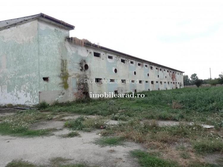 Teren 18.400 mp cu 4 hale P+E pe Artera principala vizavi de Metro-Momax - 34