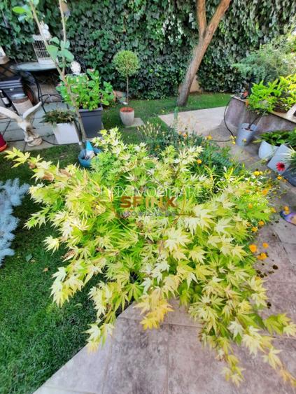 Parc Marin Preda, sector 1, vanzare vila individuala, mobilata, gradina, parcare - 37