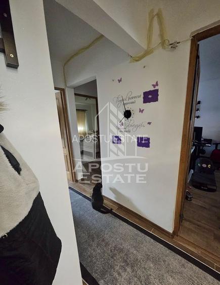 Apartament 3 camere, renovat, zona Lipovei, Timisoara, jud.Timis - 8