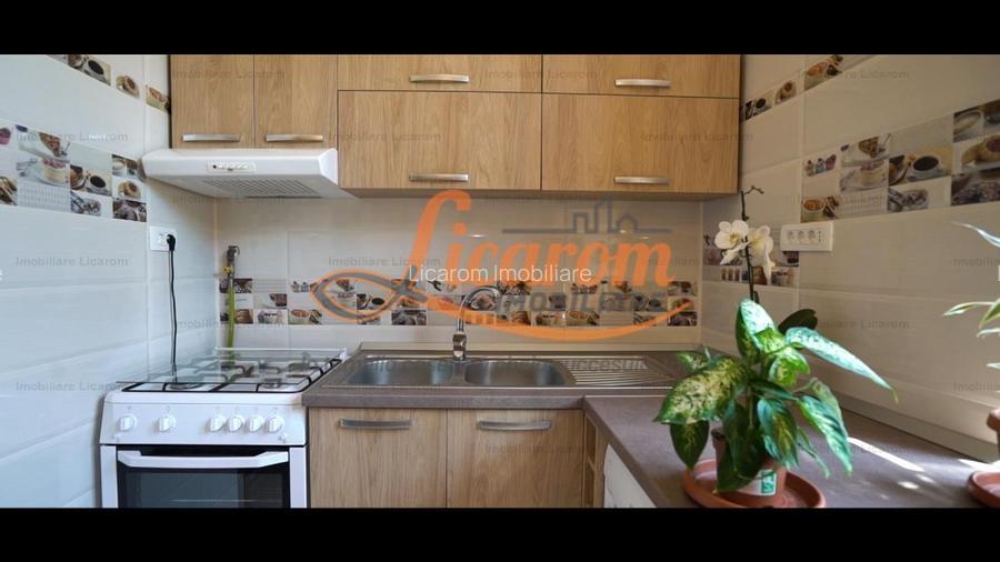 Oferta Conac boieresc P+M,teren 20400 mp - 8