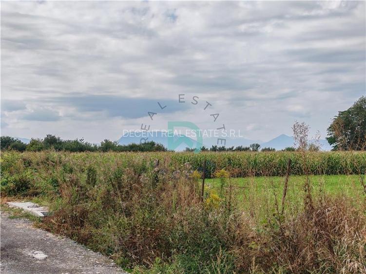 Teren intravilan, Prejmer, Brasov, - 8