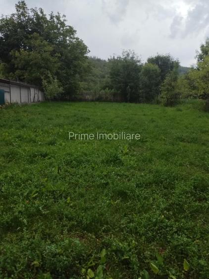 Casă individuală renovabilă | 2 camere | 1032 mp teren | La 13 km de Alba Iulia - 3