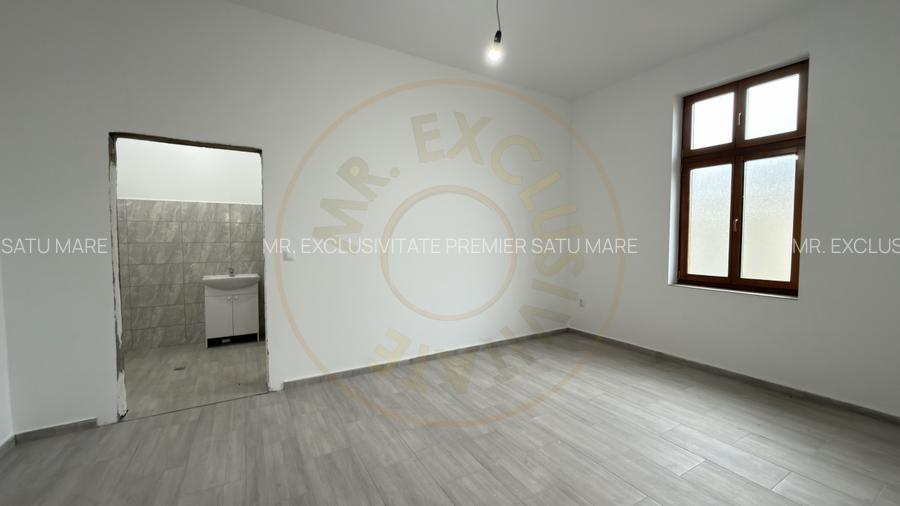 Cladire de inchiriat – ideala pentru clinica medicala sau alte afaceri - Carei - 16