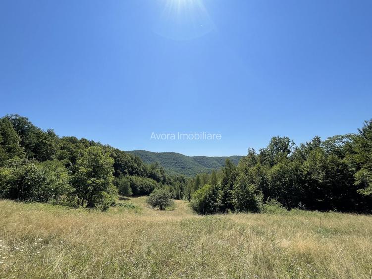 Teren Extravilan în mijlocul naturii. - 13