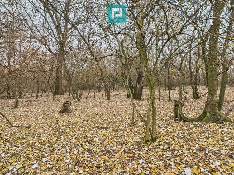 Teren pe malul Muresului- oportunitati multiple - 28