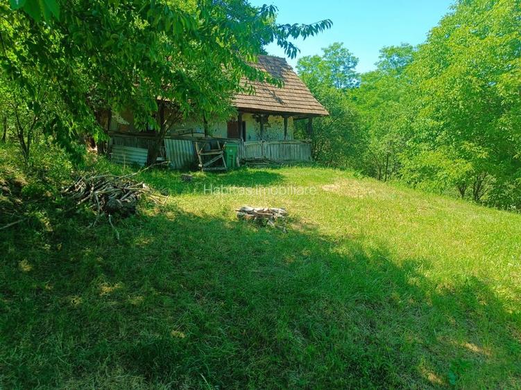 0 comision, Teren de 906 mp cu casa-Corusu, com Baciu - 5