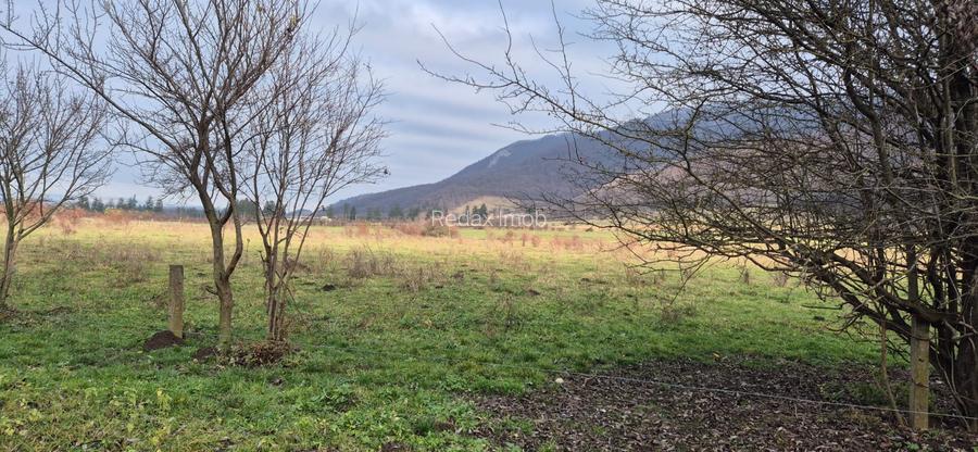 Teren intravilan Cristian zona Avicola - 4