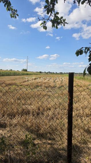 Casă și teren de vânzare – Zona Careiului - 20