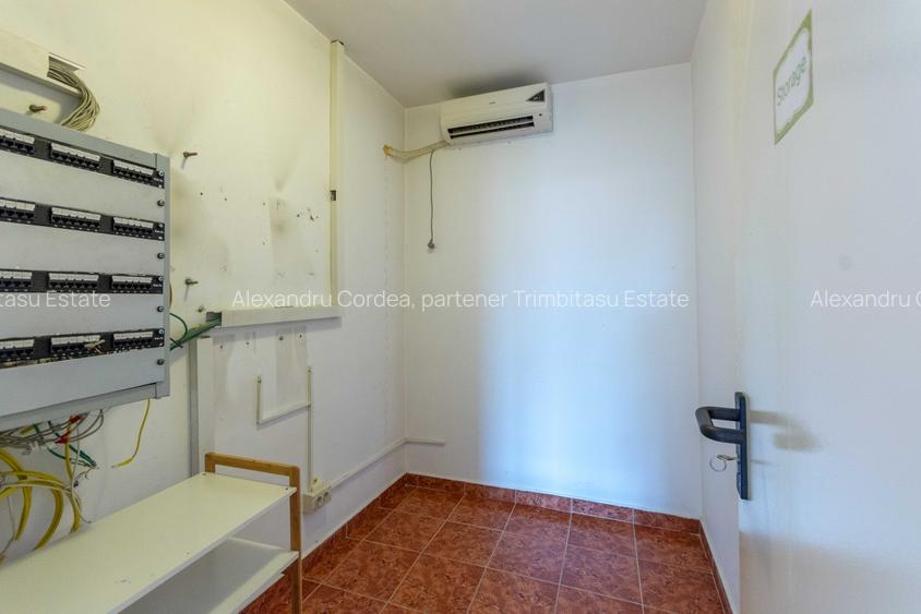 Aviatiei | Smaranda Braescu | Vila reprezentativa de inchiriat - 36