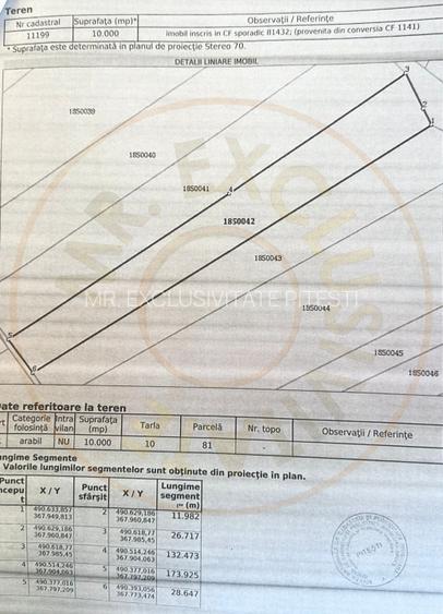 Teren 10.000 mp zona industriala Albota 12 euro mp -Arges  - 4