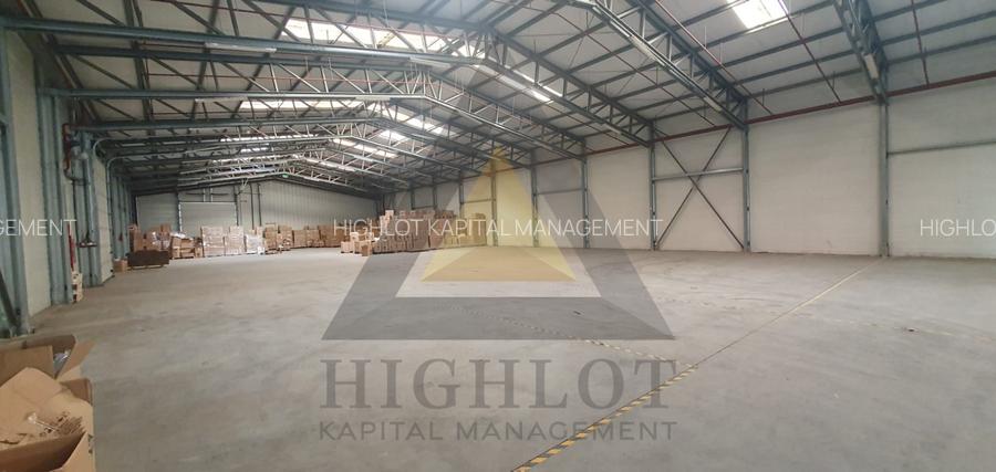 STEFANEȘTII DE JOS |  PARC INDUSTRIAL | POZIȚIONARE STRATEGICĂ - A3 -A0-DNCB - 4