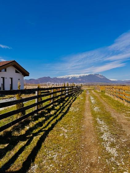 Teren intravilan Râșnov – Glejerie  5 parcele x 1000 mp  Capăt Str. Greierilor - 11