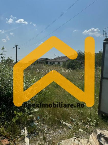 Hale Industriale de Vânzare Baicoi – 1100 mp + 800 mp, teren 5500 mp - 7