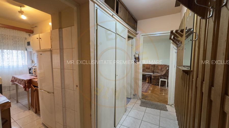 Apartament 2 camere mobilat si utilat, Str. Ignisului Nr.22, Etaj II - Carei - 7