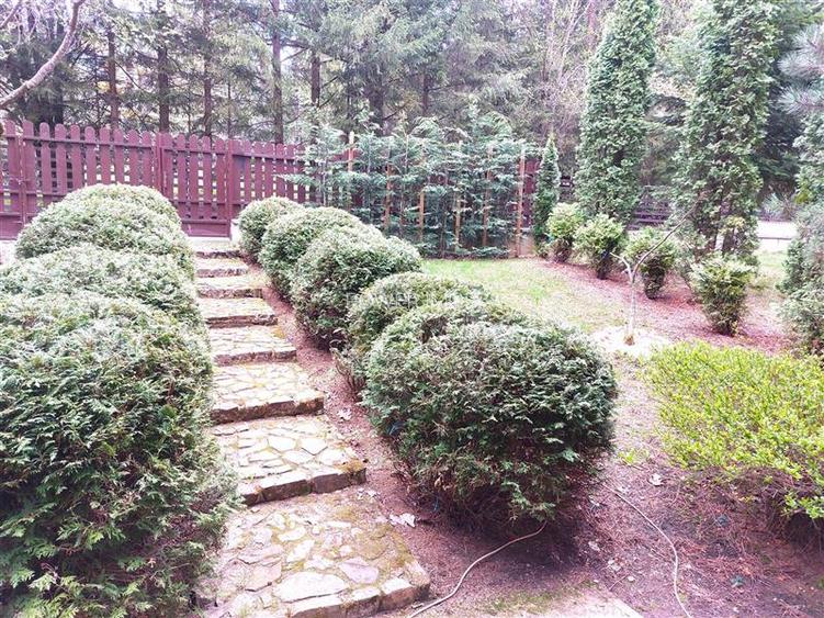 DUPLEX CU INTRARE SI CURTE SEPARATA IN POIANA BRASOV - 17