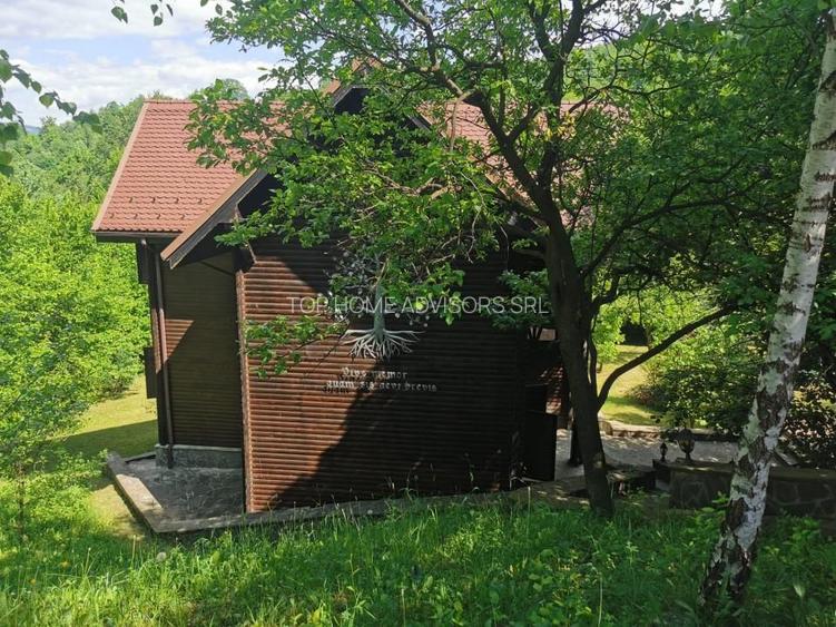 Casa de vacanta deosebita Breaza- Nistoresti - 27