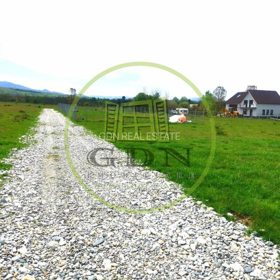 Terenuri extravilane  / 1000 mp, 2000 mp,  7.000 mp/  Valea Avrigului - 6