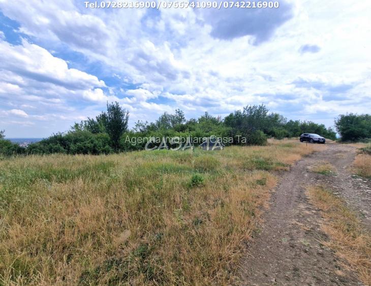 Teren Extravilan (11.464 mp),situat in Targu-Jiu, Str Ciresului - 5