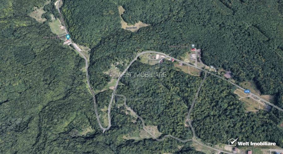 Posibilitate investitie,teren in Faget, Drumul Sfantului Ioan,UTR-Aapp - 2