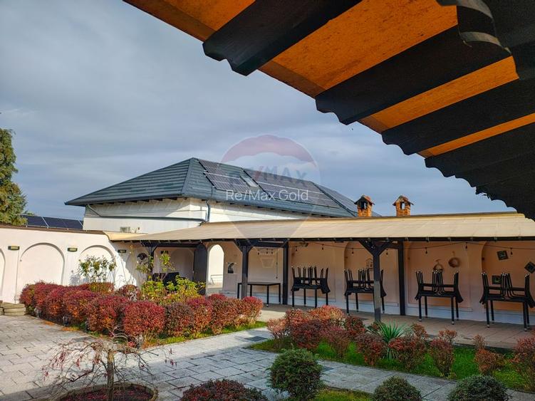 Două vile de patrimoniu, restaurate integral - 31