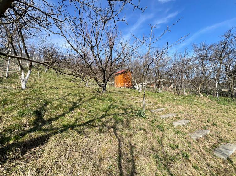 Vila de LUX,  4 camere , 140 mp, curte, garaj, terasa , Grigorescu - 17