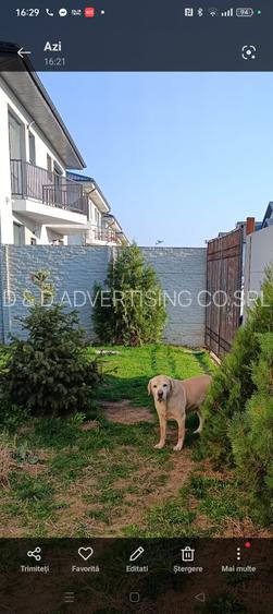 Bragadiru - Safirului - Casa  p+1+mansarda + curte 120 mp -  constructie 2021 - 4