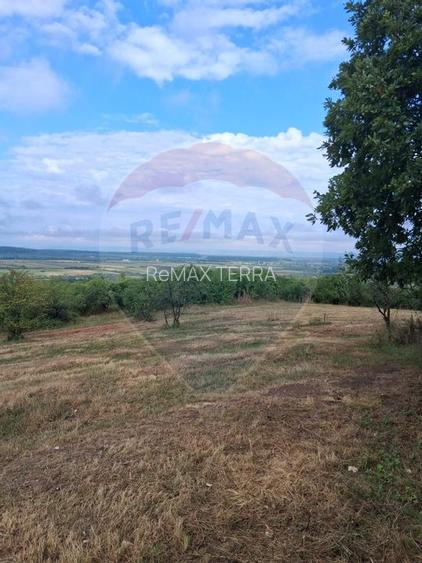 Teren 5,700mp Somcuta Mare / investitie cu potential major - 9