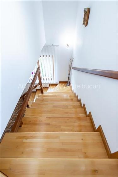 Vila 7 camere - Babana - Arges - teren 4391 mp - fara comision la cumparator - 20