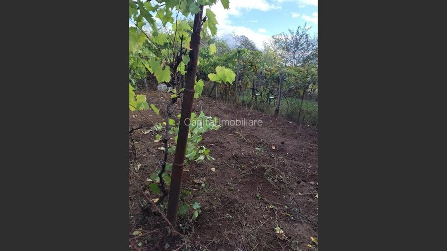 Casa Baicoi 120mp. Valea Stelii - 10