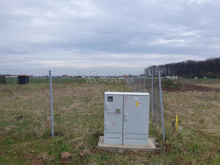 TEREN CONSTRUCTII-INTRAVILLAN-SUPERB-SNAGOV-PADURE-UTILITATI-PROIECT - 7