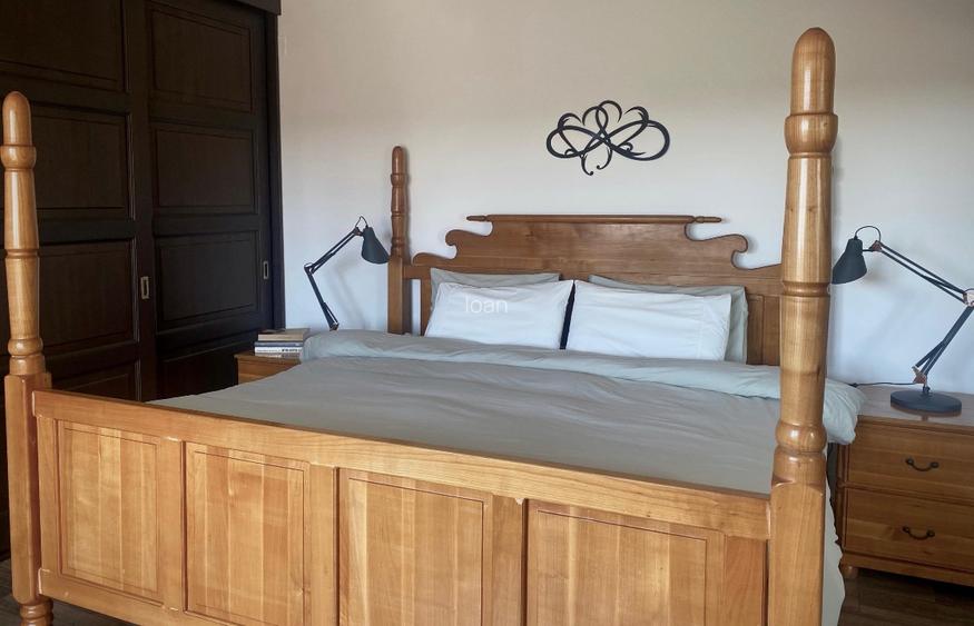 Proprietate pe stradă privatǎ, complet mobilată, curte matură, terasă  - 11