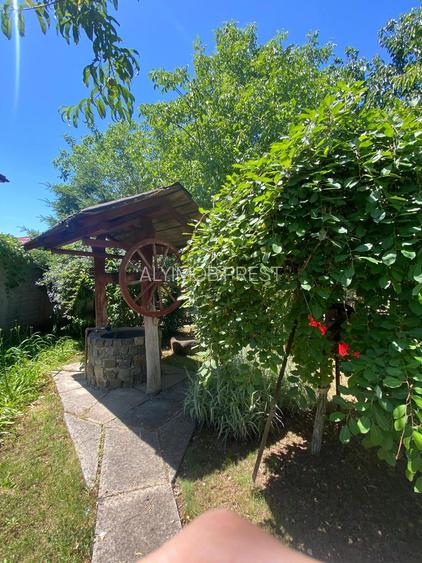 Domeniu Privat - Rosu/ Chiajna - Ilfov - 10