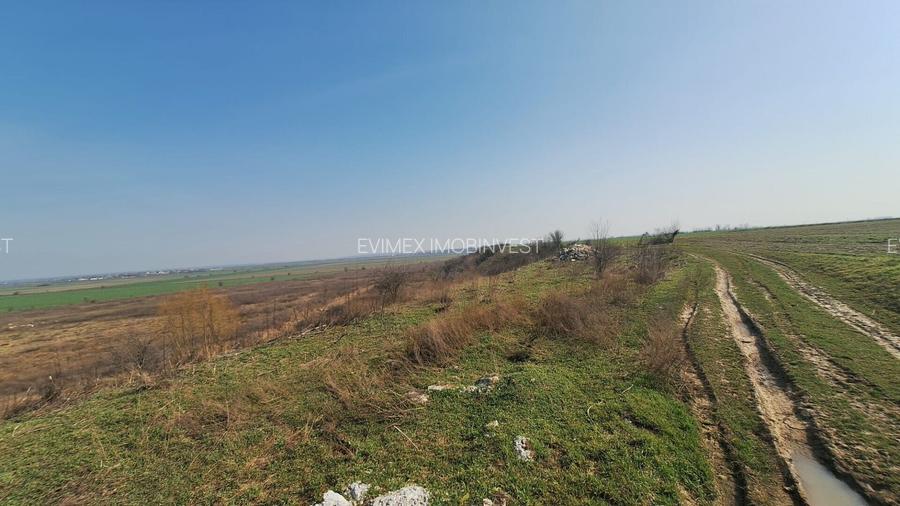 Teren intravilan -Balaceanca - 7