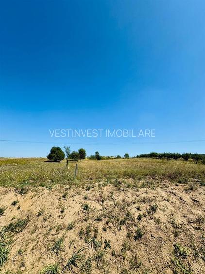 Teren Intravilan Baile Felix cu acces din E79 - 3