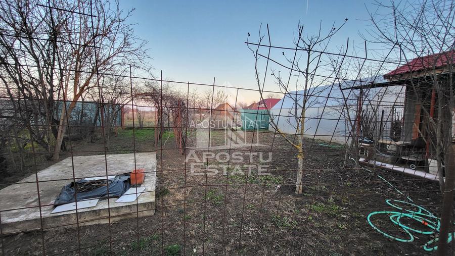 Casa individuala,190 mp utili,garaj si teren de 700 mp,Satchinez - 6