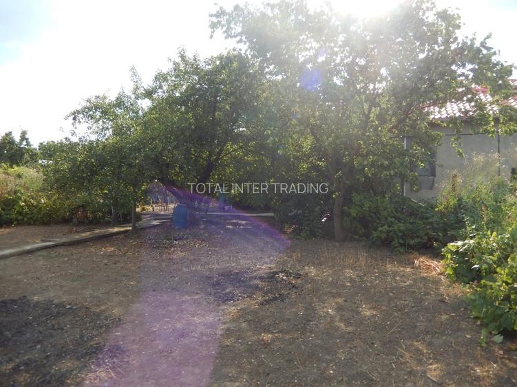 Calugareni-Branistari-casa 4 camere, teren 1965 mp, curent, put, libera,69900 € - 33