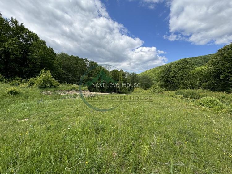 Teren exceptional Valea Dobarlaului - oportunitate investitie - 4