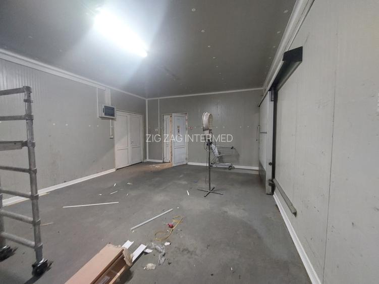 Zona Industriala , hala frigorifica 527 mp. - 20