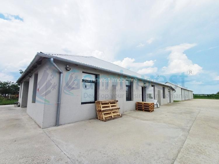 Hala de vanzare cu exclusivitate, la 24 km de Oradea, in Salard, Bihor - 10