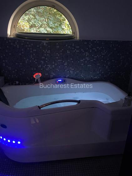 Vila individuala Victoriei pretabil birouri clinica restaurant rezidenta - 26