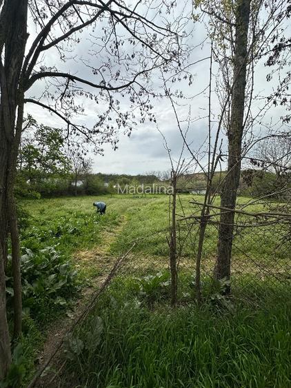 Vând teren intravilan stradal , posibilitate  parcelare  - 7