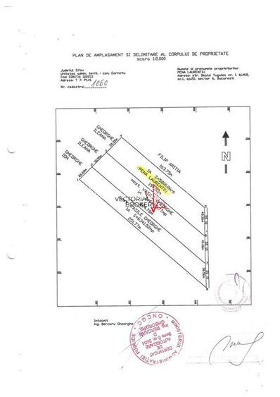 Teren extravilan 5.800 mp in Cornetu, ideal pentru investitie - 6